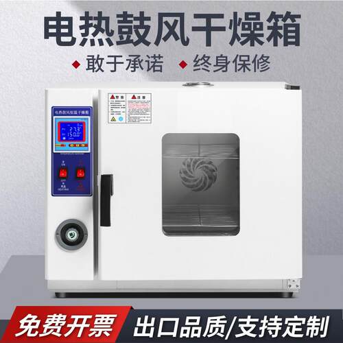 电热恒温鼓风干燥箱加热小型高温烤箱实验室工业医用恒温箱烤客厅灯
