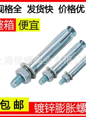 整箱无品牌/镀锌1膨胀螺丝超长加长加粗拉爆膨胀1螺栓M6M8M0M12M4