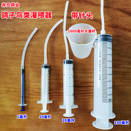 鸽子用具用品八哥鹦鹉针筒注射针管鸟鸽子喂食器量杯鸽乳器打药器