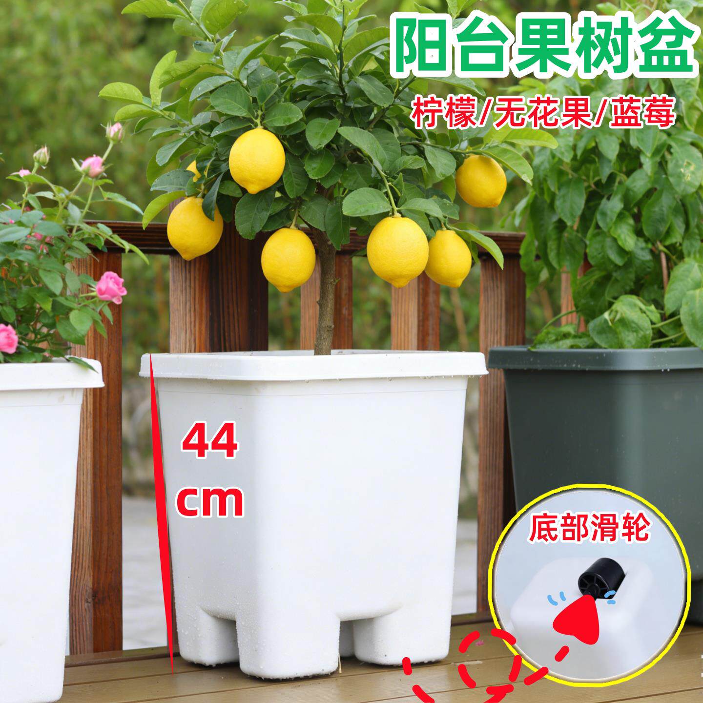 家用阳台种树专用盆懒人塑料花盆自吸水盆栽果树花卉种植盆箱室外