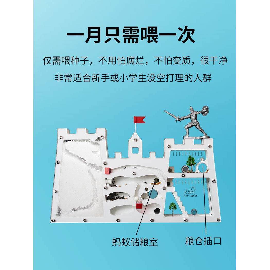 蚂蚁城堡蚂蚁工坊送收获蚁后学生观察生态箱蚁巢室屋庄园家园