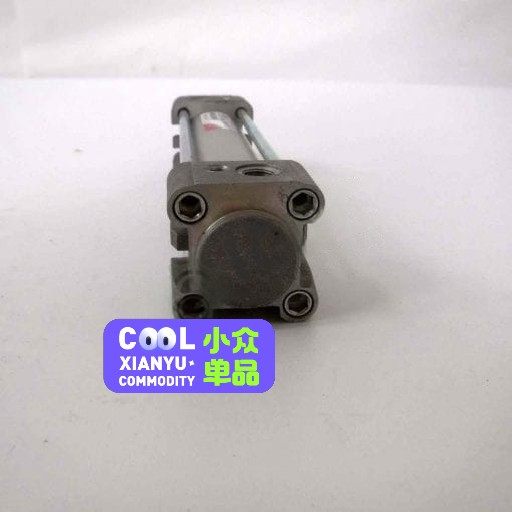CAMOZZI，60N2L032A0100，气缸，1个，全新
