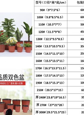 双色双色育苗育苗红色绿植花瓶