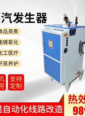 (厂家直销)6KW千瓦电锅炉蒸汽发生器（不锈钢材质壁挂式）电加热
