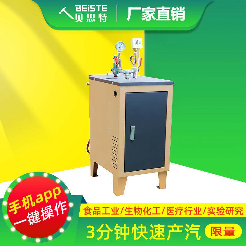 蒸汽发生器厂家直销服装整烫食品厂化工厂用防爆电加热全自动化