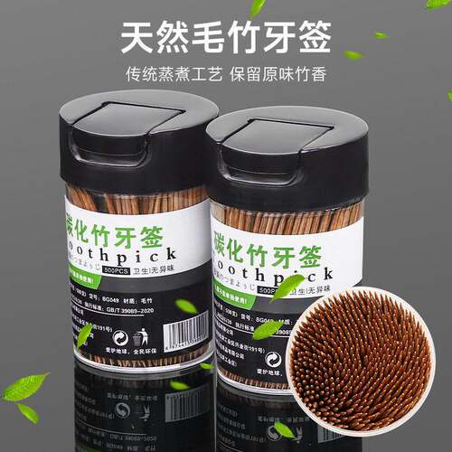 500 Carbonized Toothpicks - Disposable Toothpicks for Home a