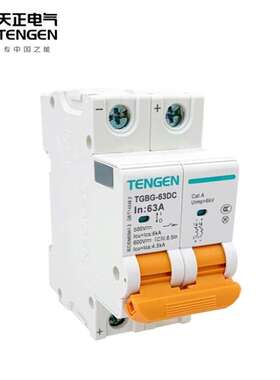 天正电气TENGEN空气开关TGBG-125H4PC100小型断路器