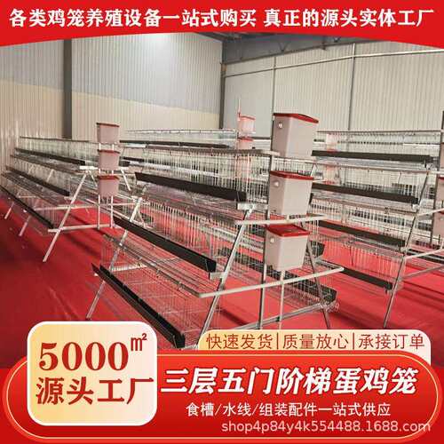养殖场专用蛋鸡笼设备冷热镀锌多层阶梯式笼养鸡设备育雏笼养殖笼