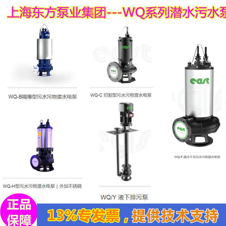 东方50WQ排污泵1.5KW污水泵带搅匀潜污泵硬管软管耦合连接（自耦