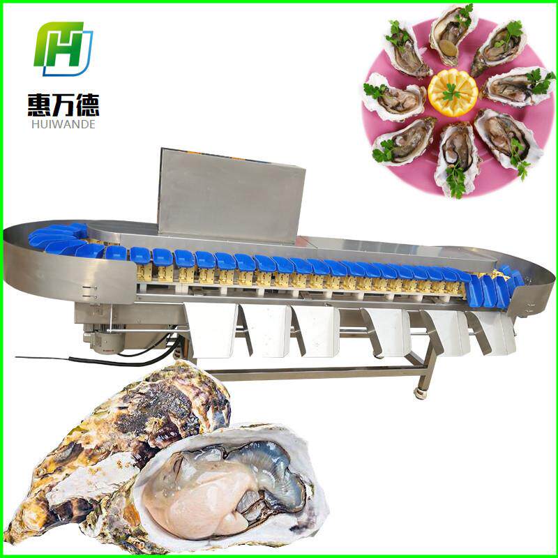 多级盘式牡蛎分选秤诸城鲈鱼称重分选机料盒式海蛎子分级设备