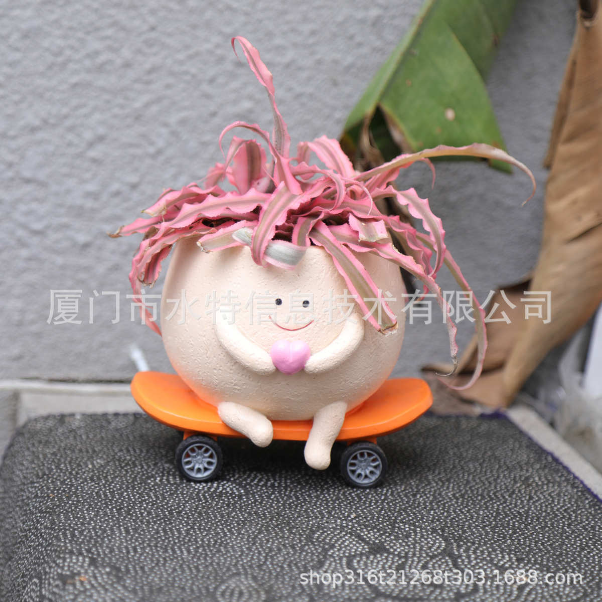 布置可爱书房滑板夏季带轮创意多办公室肉装饰摆件花盆新款