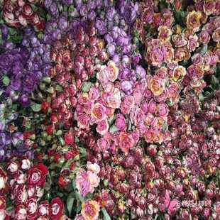 玫瑰干花花束玫瑰花 多头玫瑰泡泡干花花束 直销新款 云南干花玫瑰