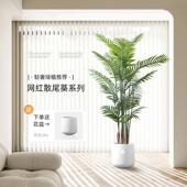 散尾葵彷真绿色植物北欧ins风植物假绿植盆栽落地室内装 饰假树彷