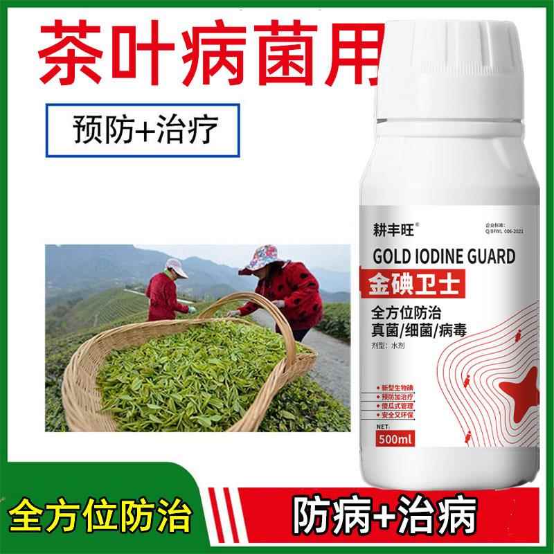 茶叶专用药茶园病害全治茶叶杀菌剂茶饼病赤霉病茶霉白星白粉炭疽