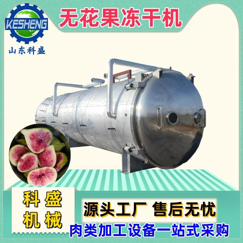 农产品冻干机 山竹大蒜真空冻干机 无花果柠檬金桔冻干设备