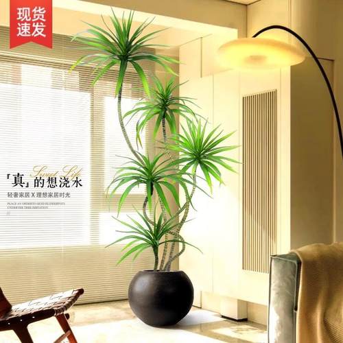 仿真绿植龙血树室内盆栽大型仿生植物假花树装饰轻奢客厅落地摆件