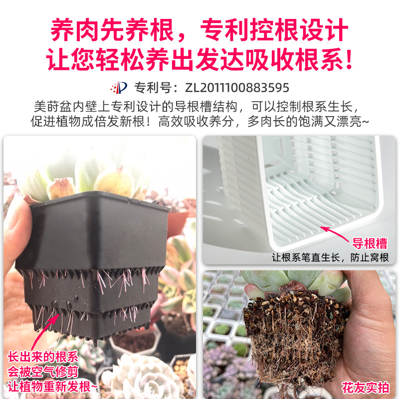 美莳控根多肉花盆塑料套装组合创意透气肉肉控型盆器带托盘小,鲜花速递/花卉仿真/绿植园艺,花盆,淘宝优惠券,粉丝福利购,淘宝优惠卷