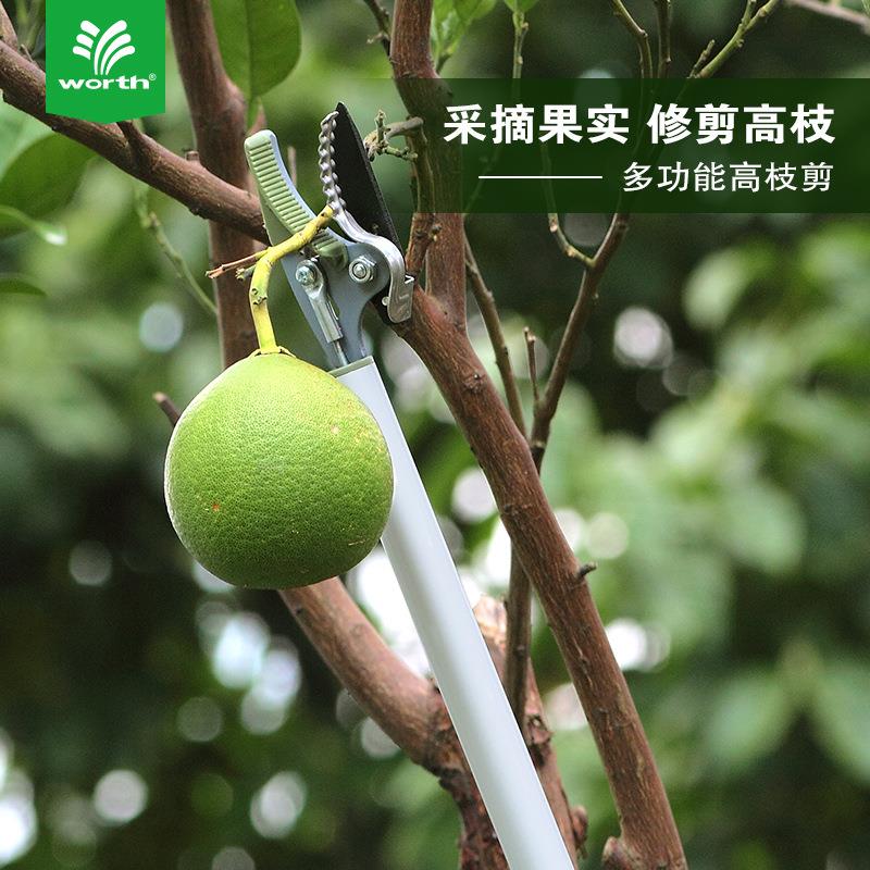 沃施worth 高枝采果剪摘果器高枝剪高空采果剪琵琶荔枝摘果剪1034
