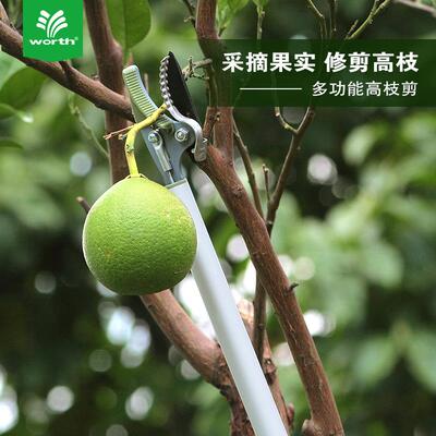 沃施worth 高枝采果剪摘果器高枝剪高空采果剪琵琶荔枝摘果剪1034