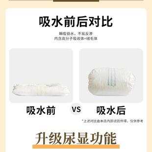 透气轻便月经裤 宠物纸尿裤 泰迪尿片宠物小狗无纺布母狗生理纸尿裤