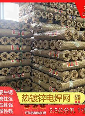 现货批发热钢丝镀锌电焊网建筑外墙保温防锈防护栏焊接铁丝网片