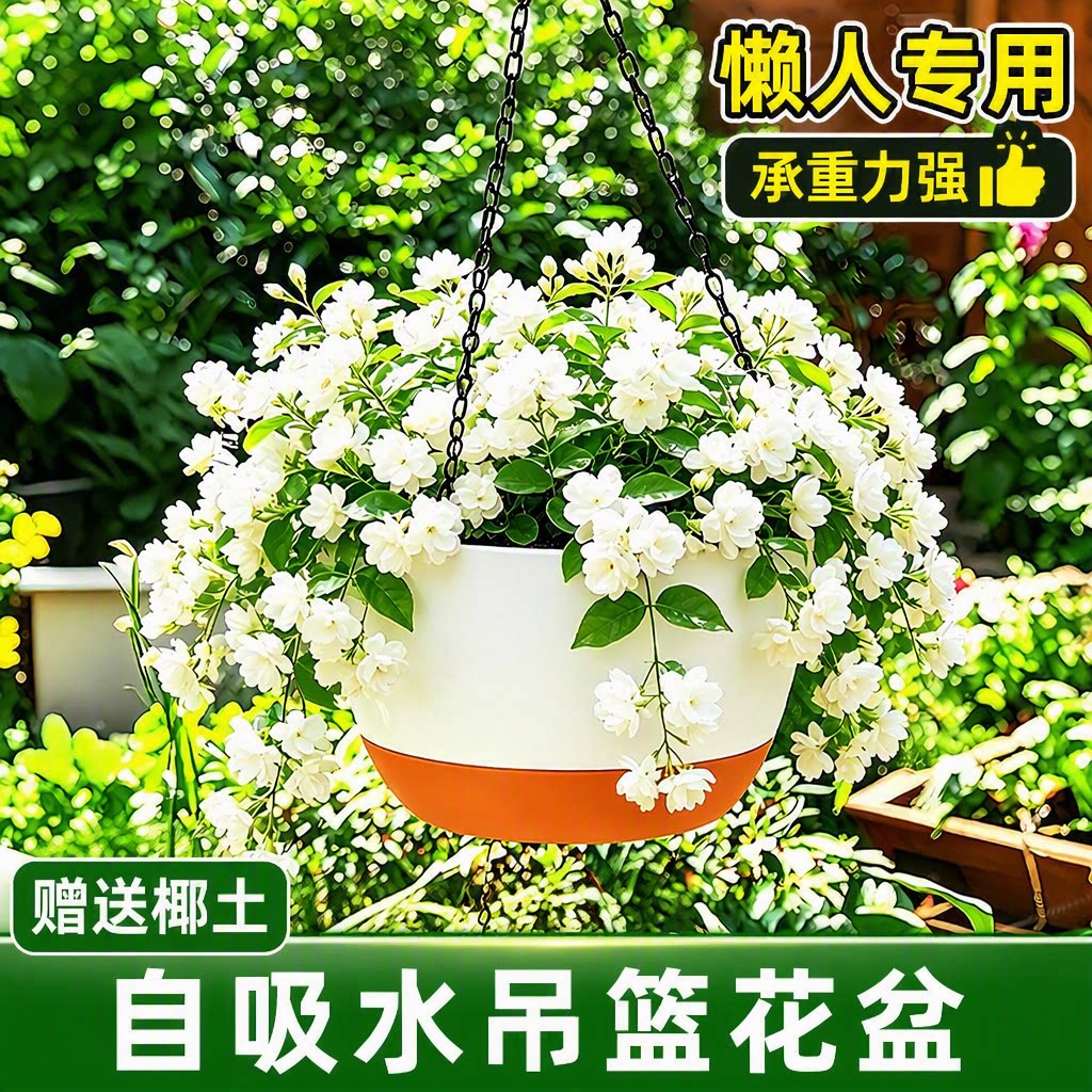吊兰花盆悬挂式自吸水懒人专用垂吊植物球兰矮牵牛大吊盆带铁链										