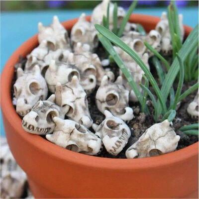 Decorative Rocks Decorative Pebbles 20X Polished Dragon