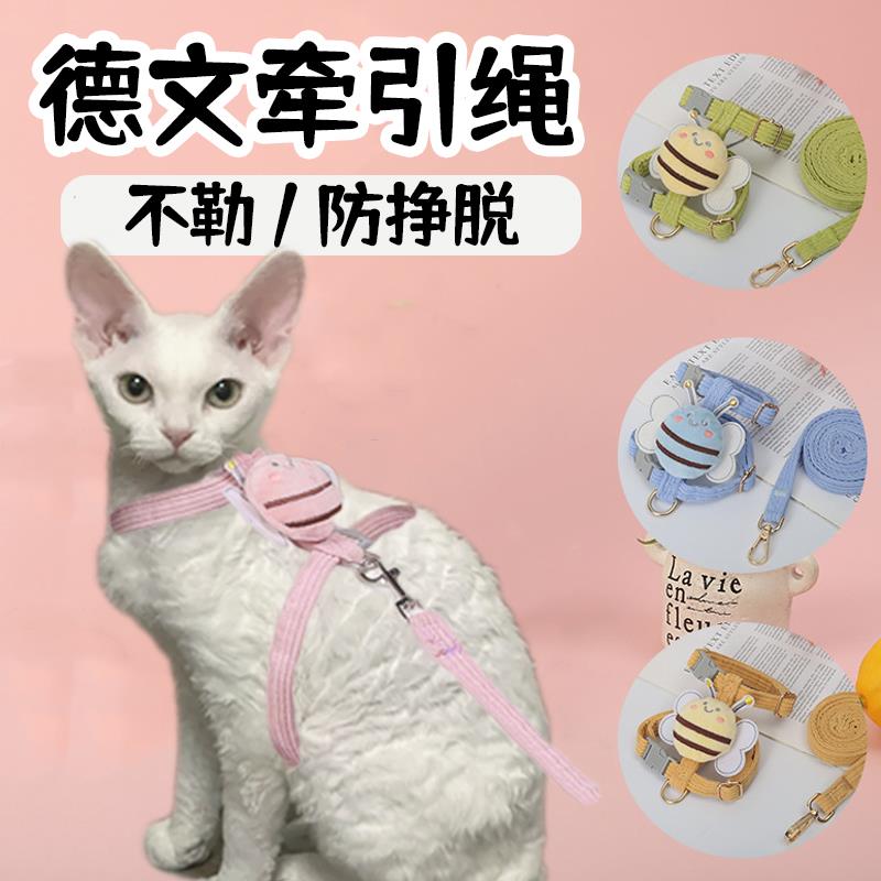德文牵引绳卷毛猫外出专用防挣脱工字无毛猫