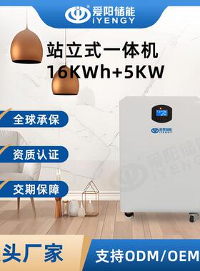 51.2V314Ah家庭储能系统磷酸铁锂组电池+逆变器站立一体机
