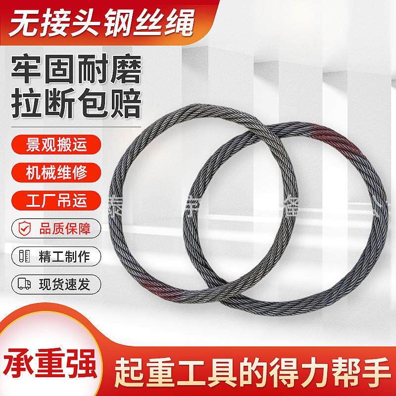 无接头环形钢丝绳索具双板平吊钢板起重钳吊钩起重钳钢丝绳圈