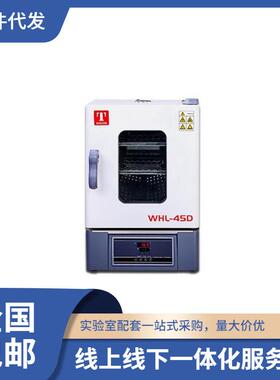 高温烘箱WHL-45D电热恒温干燥箱实验室300℃温控
