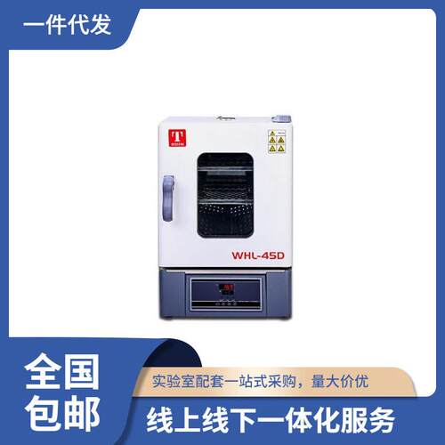 高温烘箱WHL-45D电热恒温干燥箱实验室300℃温控