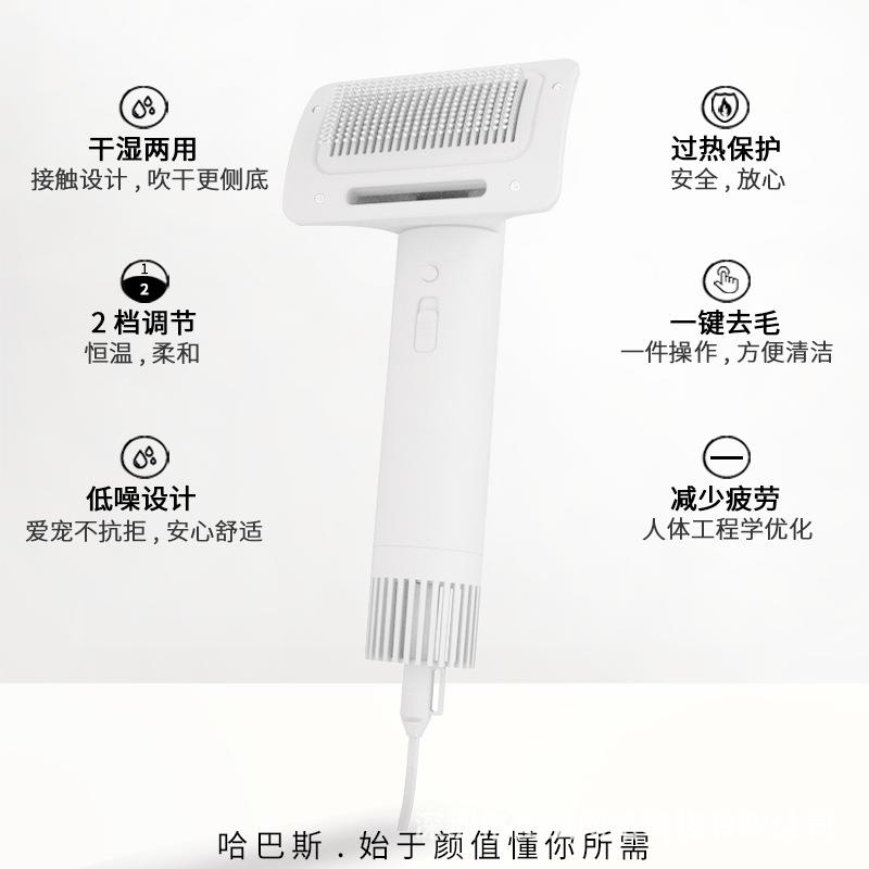 新款直销宠物吹风机猫狗吹风梳猫咪吹水梳毛烘干机泰迪狗狗梳子吹