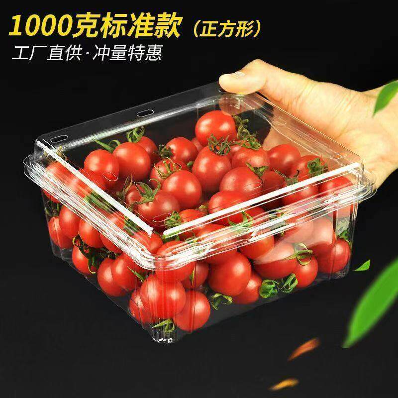 1000G两斤装正方形一次性水果盒车厘子包装高透带盖果切包装盒