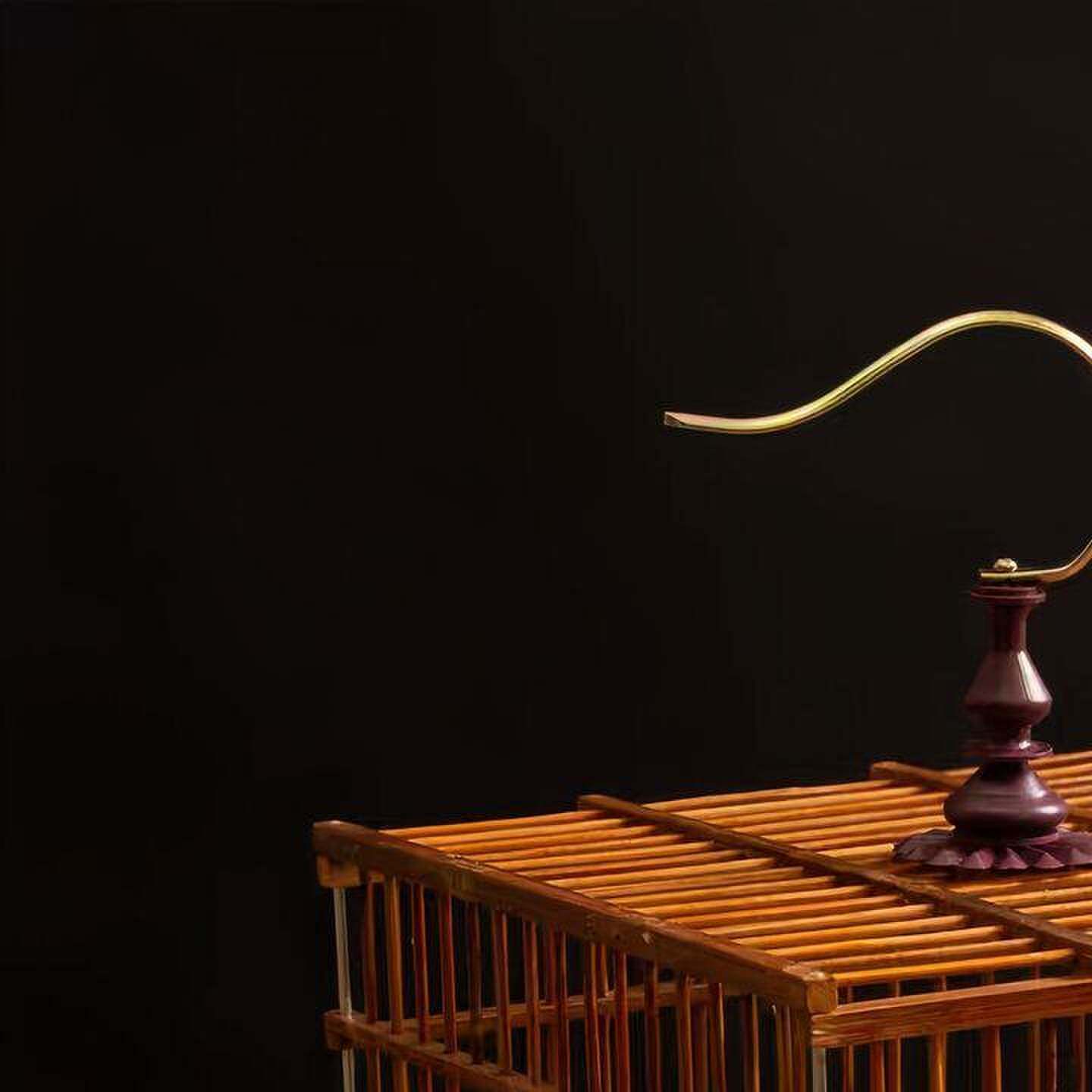 竹制小方笼绣眼黄雀鸟笼贝子文鸟手工鸟笼鸟笼大全