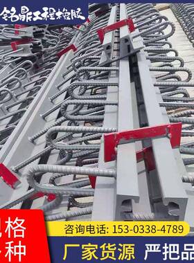厂家 公路桥梁伸缩缝MZL160型240伸缩缝 梳齿板伸缩缝