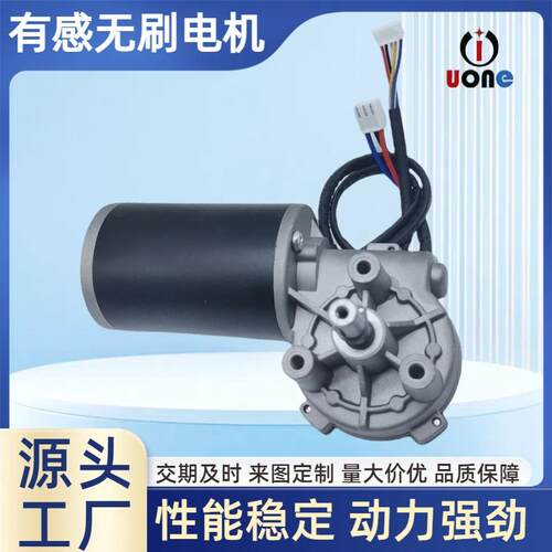有感无刷电机D63mm键槽轴八线12V 24V蜗杆直流减速电机可带驱动器