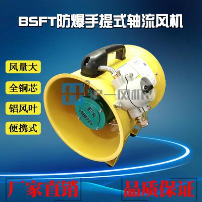 厂家直销沼气 船厂 手提式防爆轴流风机 10米风管 BSFT-300 220V