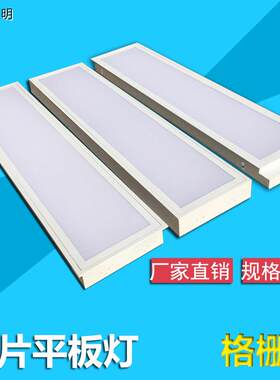 明装格栅灯300*1200嵌入式led灯盘2*36w吸顶双管荧光灯节能日光灯
