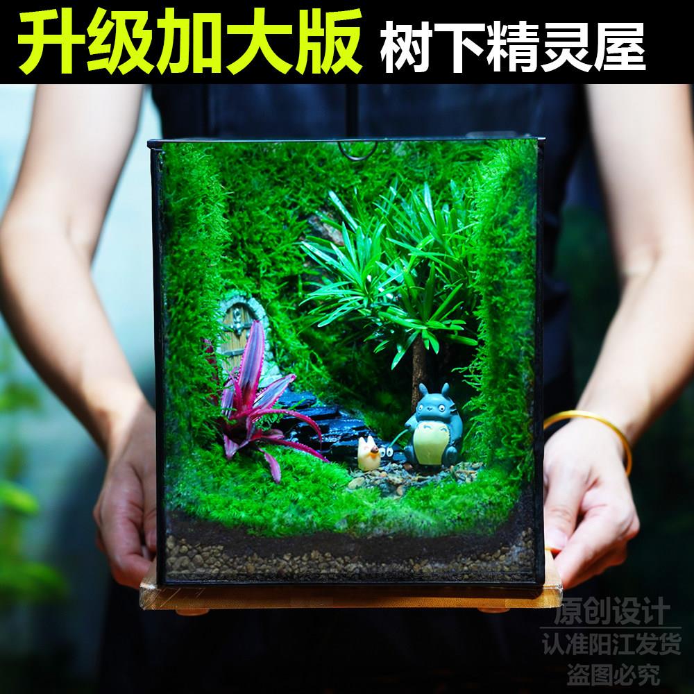 创意桌面苔藓微景观成品雨林缸造景办公桌面植物盆景生态瓶礼物