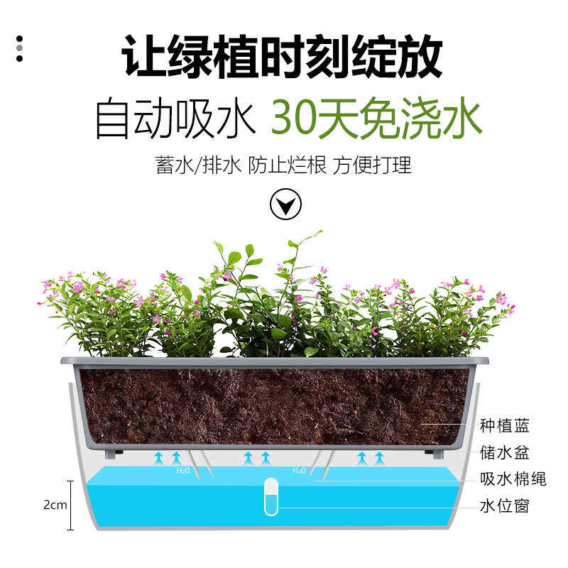 ll长方形窄花盆阳台种菜盆长条蔬菜种植箱窗台草莓花槽懒人神