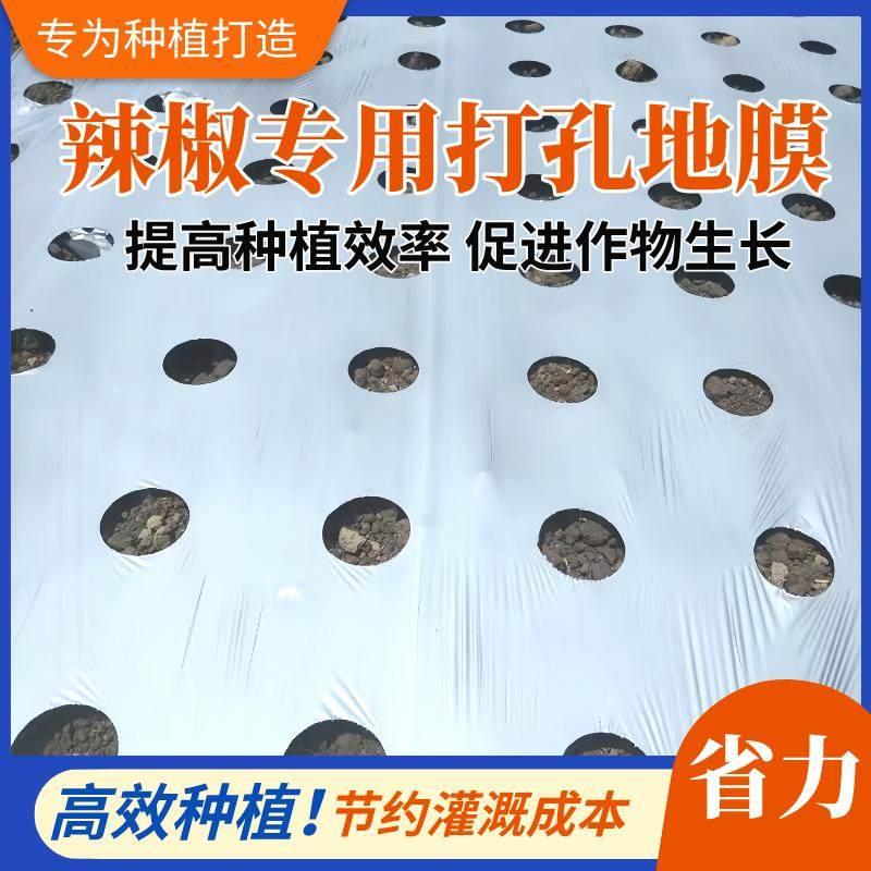 开孔打孔银黑地膜农用种植大棚除草保湿塑料薄膜加厚保温辣椒专用