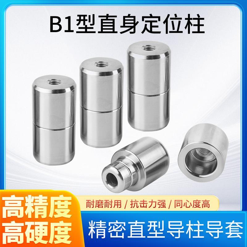 精密直导柱B1型模具定位柱吹气模瓶模导柱导套圆柱形定位销直身
