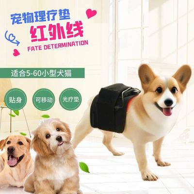 宠物红光理疗仪狗狗术后髋骨腰椎骨刺理疗器宠物猫红外神经炎灯毯