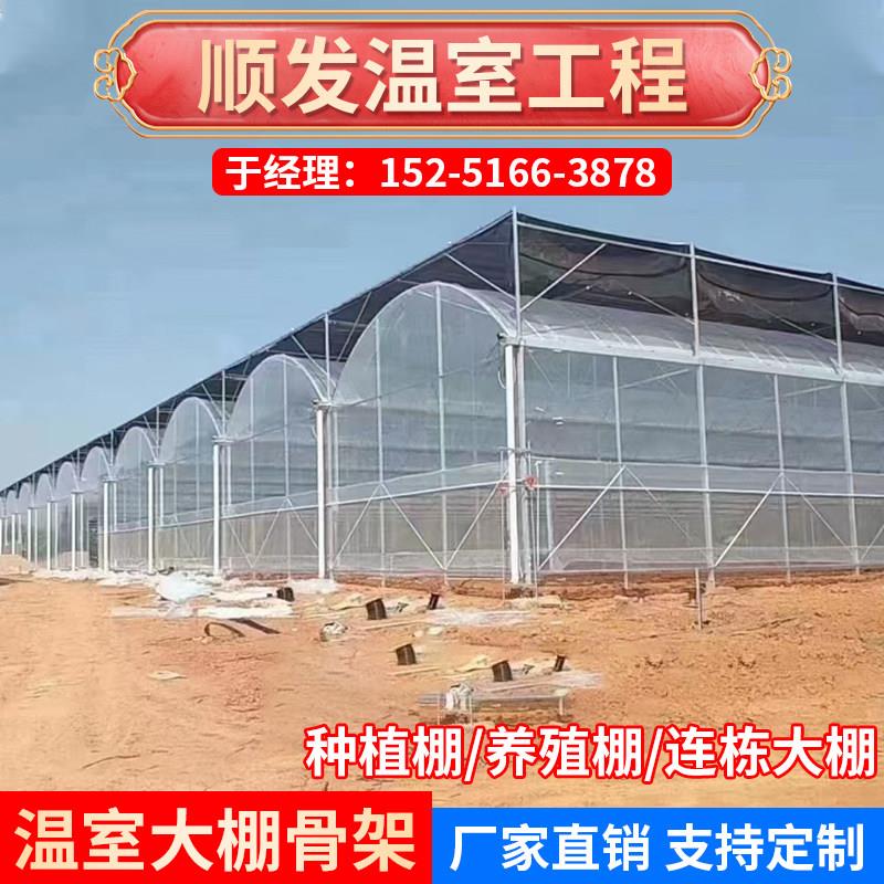 连栋大棚花卉薄膜大棚温室连身骨架棚蔬菜大棚养殖钢管外遮阳定制