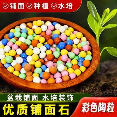 Colorful clay pebbles for flower planting, used as a base la