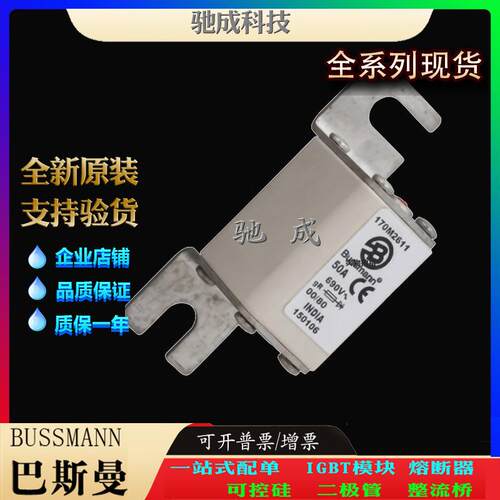 巴斯曼170M2610 170M2611 170M2612 长期销售价优 紧凑熔断器