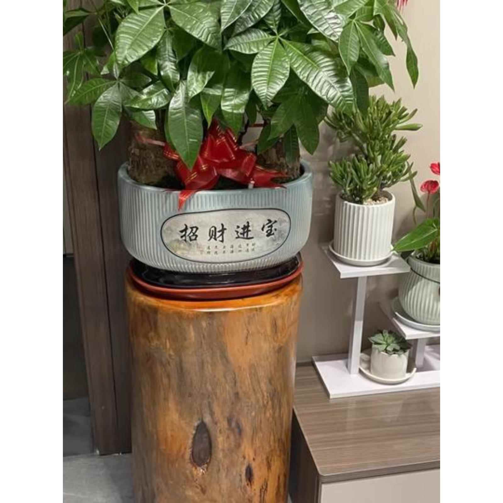 原木香樟木树墩树桩木桩凳坐凳子花架根雕茶几实木大底座墩子木墩