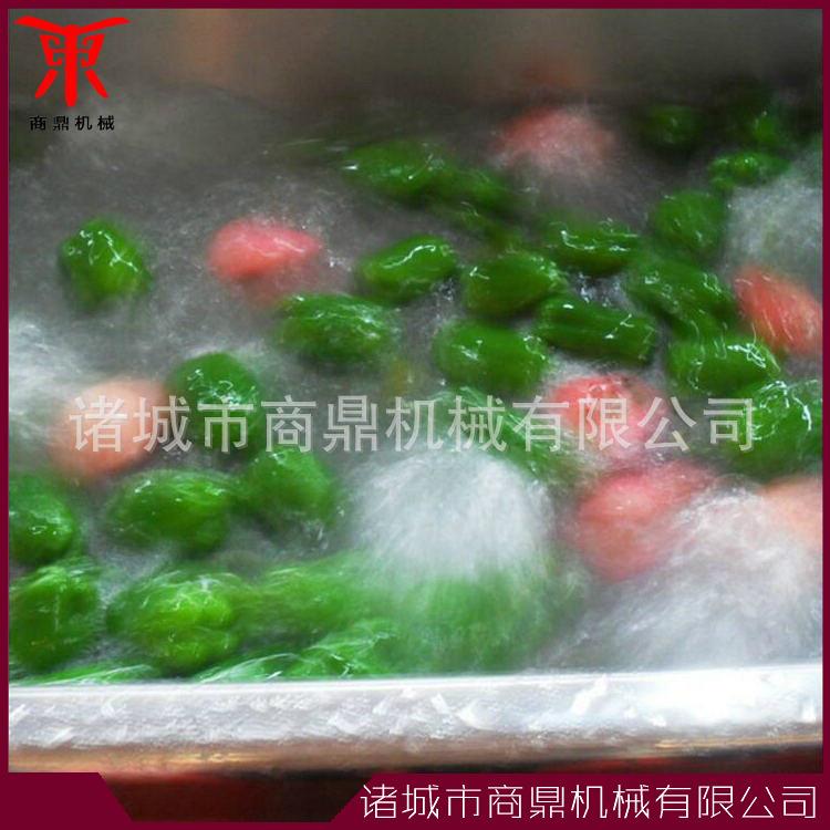 供应商鼎苹果清洗机 水果清洗机 蔬菜清洗机