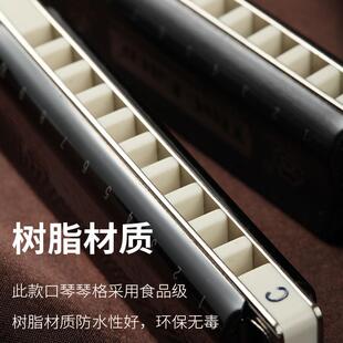 高档孔孔声十孔口琴布鲁斯蓝调乐器学生童专成人初学者业演奏10口